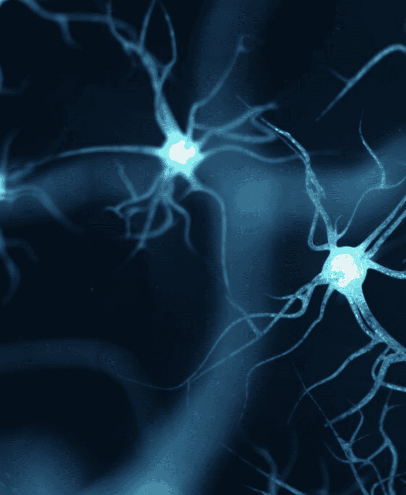 Neural health and brain function illustration