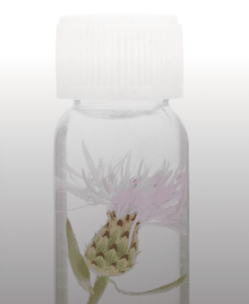 Herbal supplement bottle