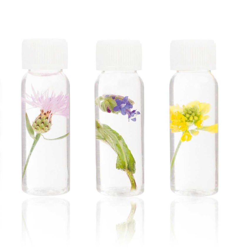 nutrient injections 800